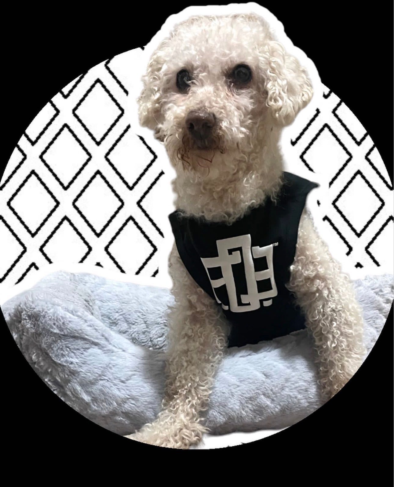 FAM.O.ETH™️ OG Pet Dress
